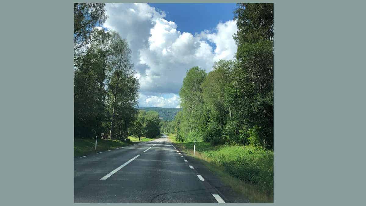 De weg in Lapland met bomen, bomen en nog eens bomen