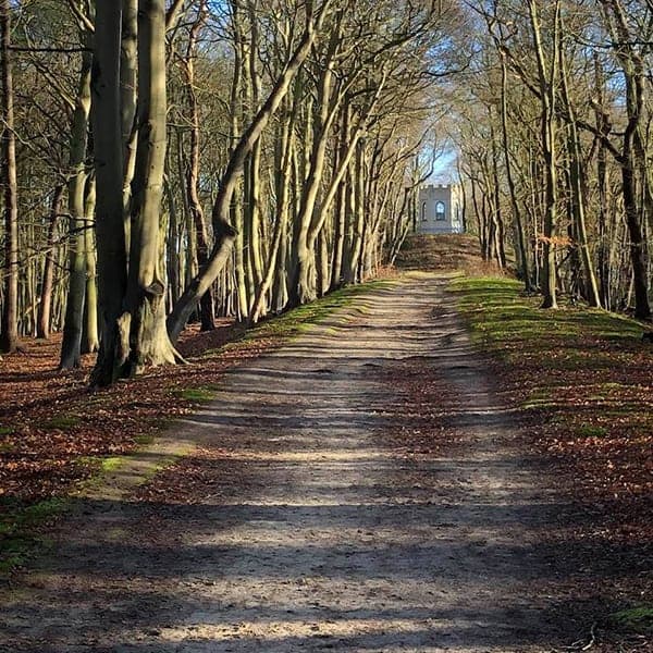 Leyduin is één van de mooiste en rustigste plekken om te wandelen in de omgeving van Haarlem