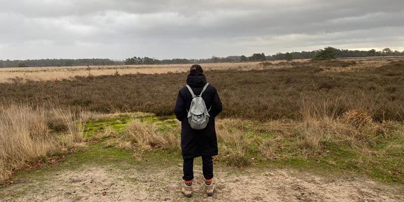 Wandelen over de heide in Noord Brabant