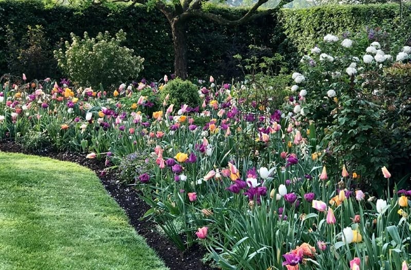 Tuinprogramma op TV: gardeners world