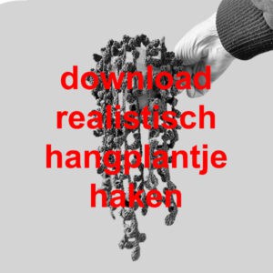 download realistisch gehaakt hangplantje