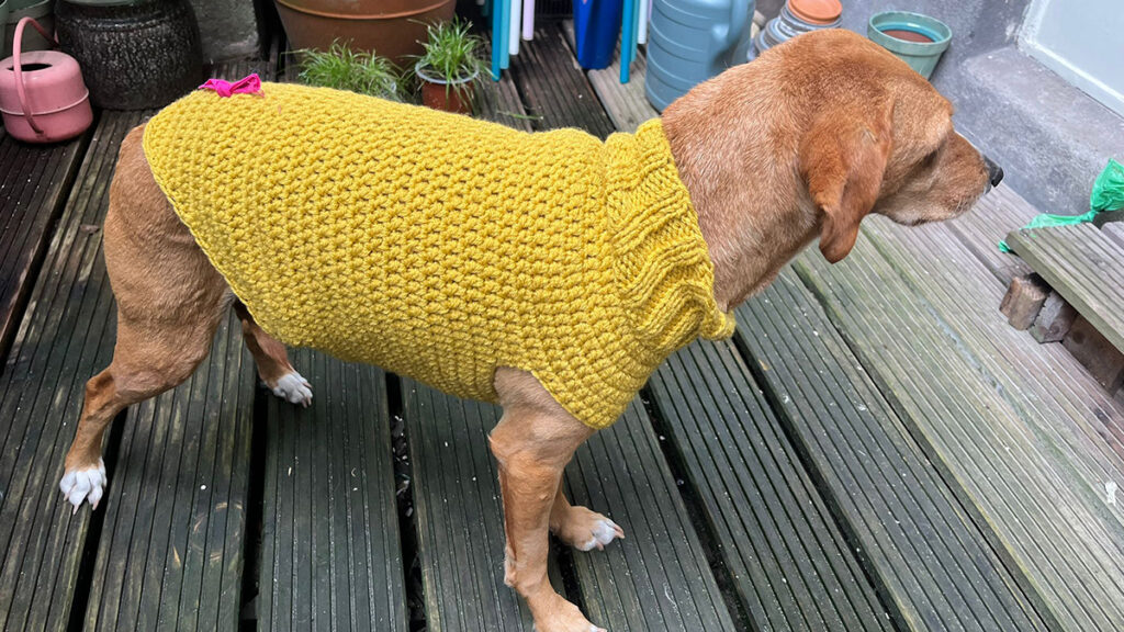 hondentruitje haken