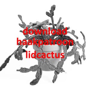 download haakpatroon lidcactus